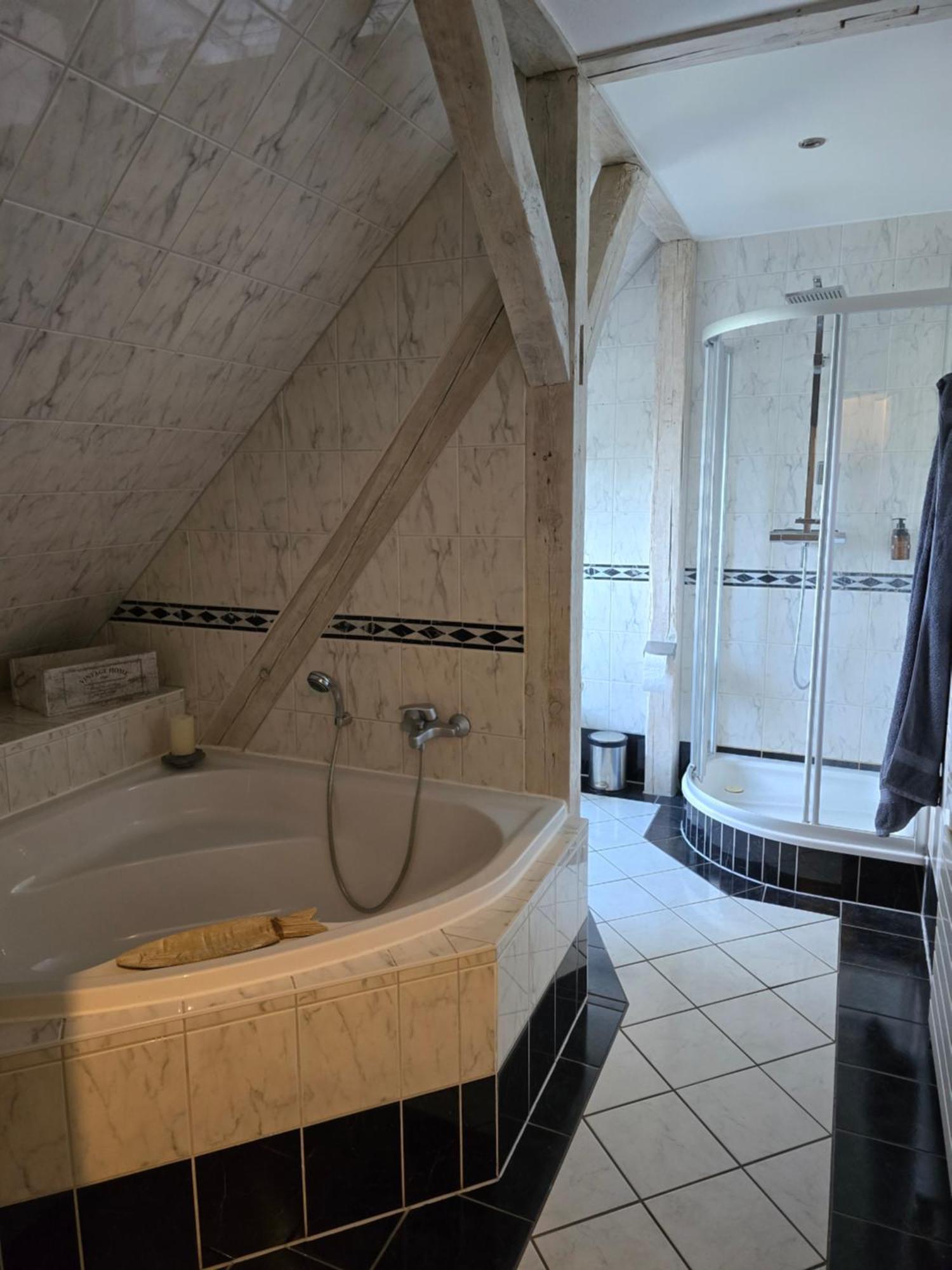 Palais Picard Westfluegel Villa Thale Exterior foto
